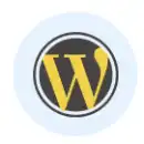 WordPress Development Company in India for Business Websites WordPress