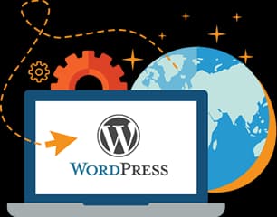 Wordpress Development Process